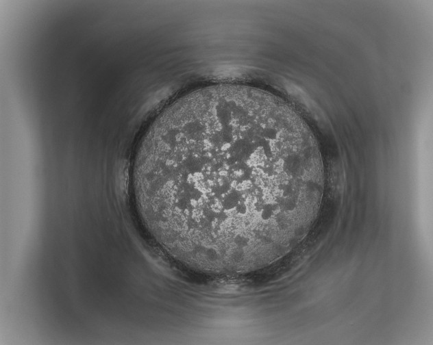 X0000112830495200909041505