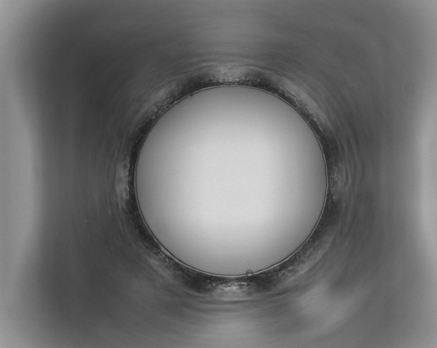 X0000112830497200909041505