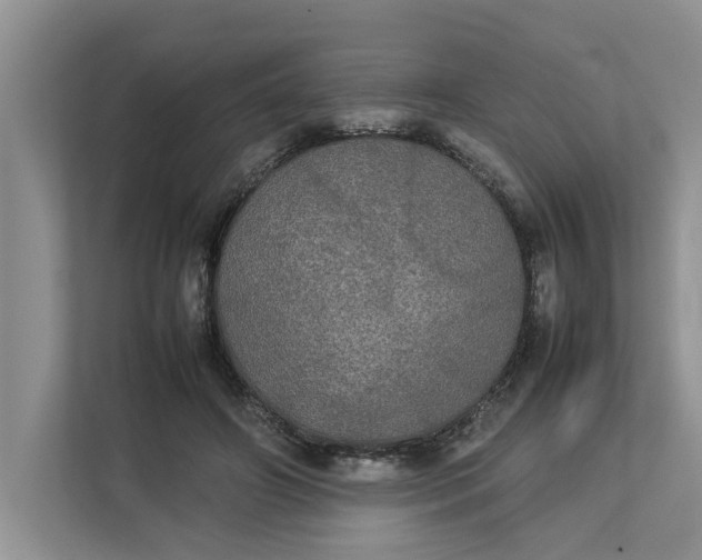 X0000112830498200909041505