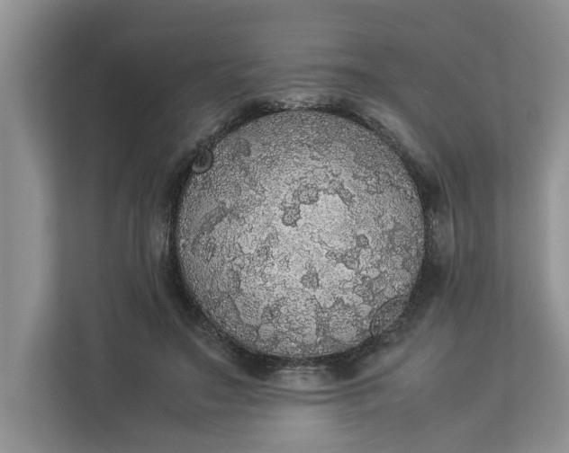 X0000112830499200909041505