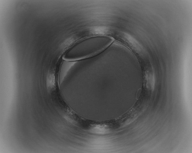 X0000112830500200909041505