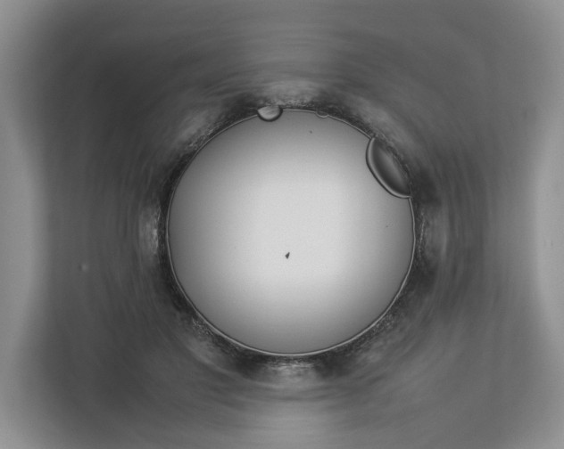 X0000112830501200909041505