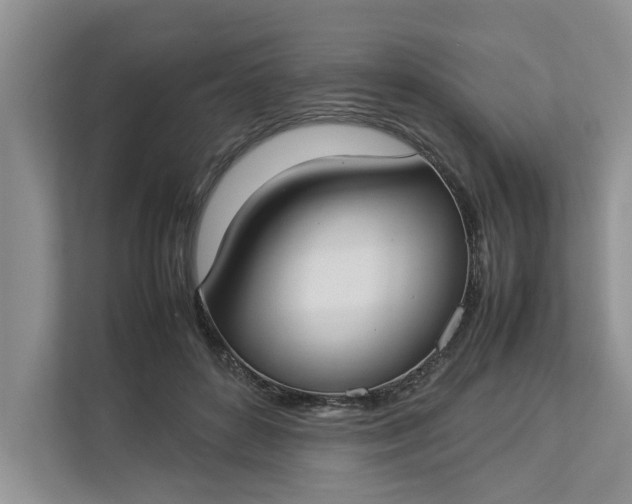 X0000112830504200909041505