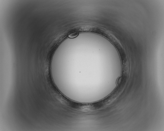 X0000112830505200909041505