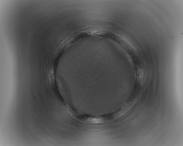 X0000112830506200909041505