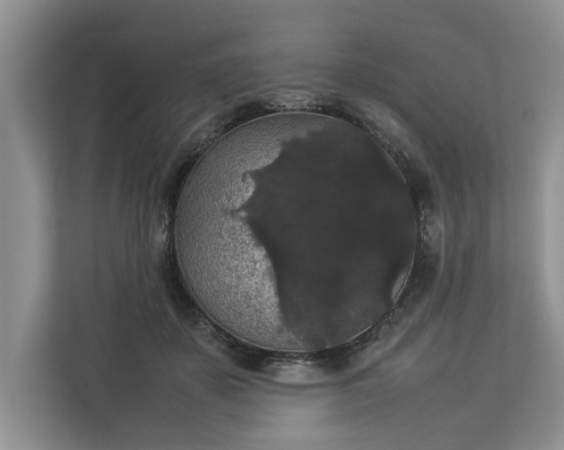 X0000112830507200909041505