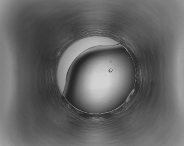 X0000112830508200909041505