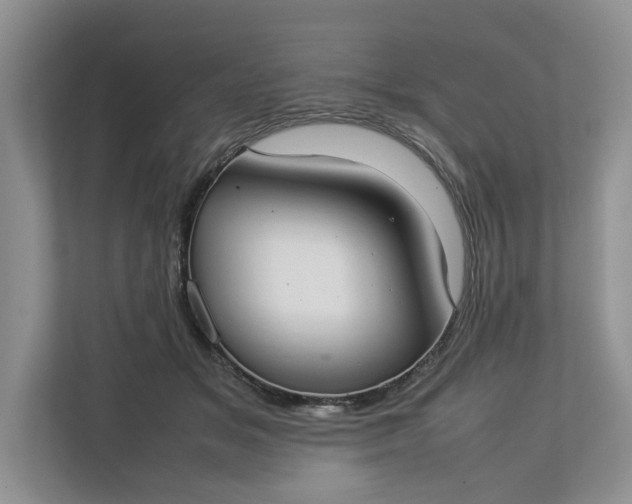 X0000112830509200909041505