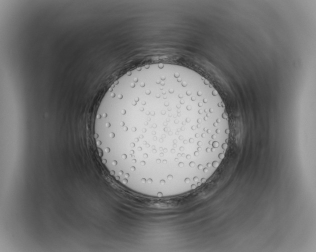 X0000112830510200909041505