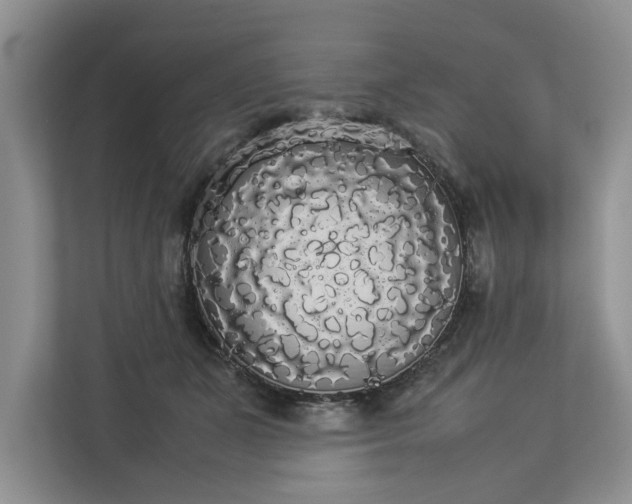 X0000112830511200909041505