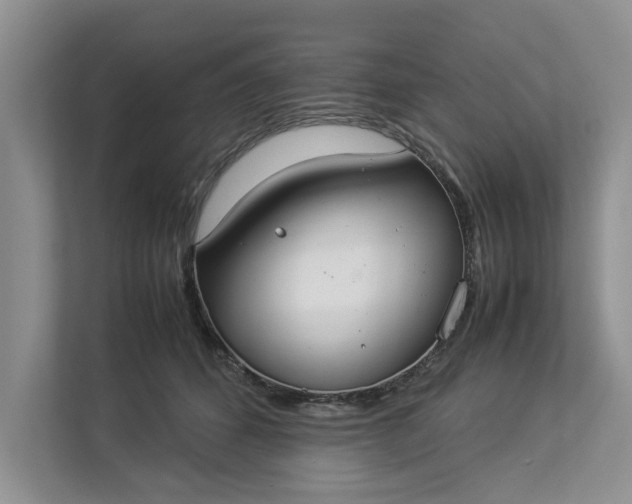 X0000112830512200909041505