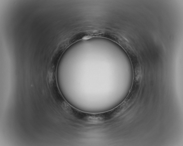 X0000112830515200909041505