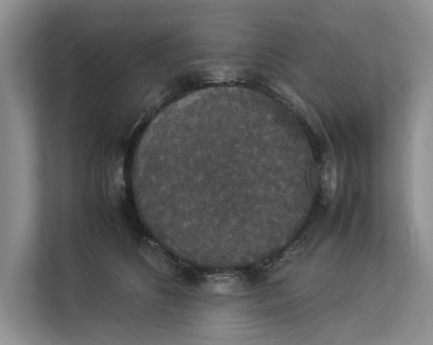 X0000112830516200909041505