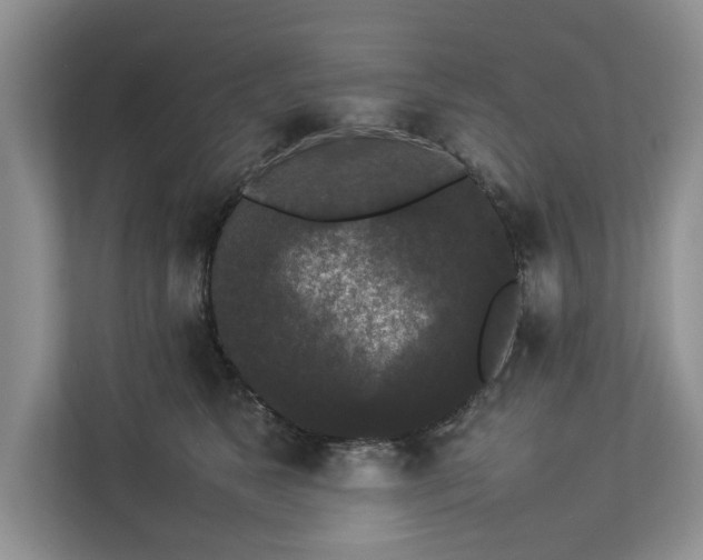 X0000112830517200909041505