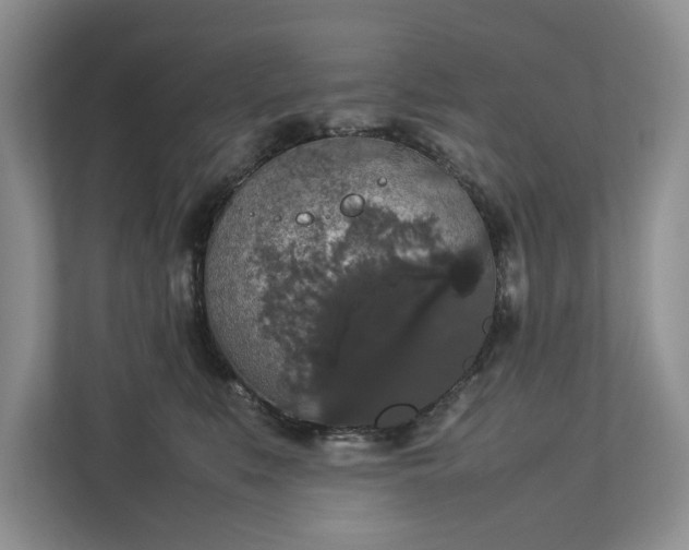 X0000112830519200909041505