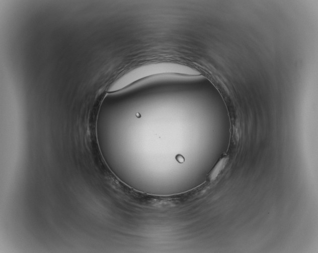 X0000112830520200909041505