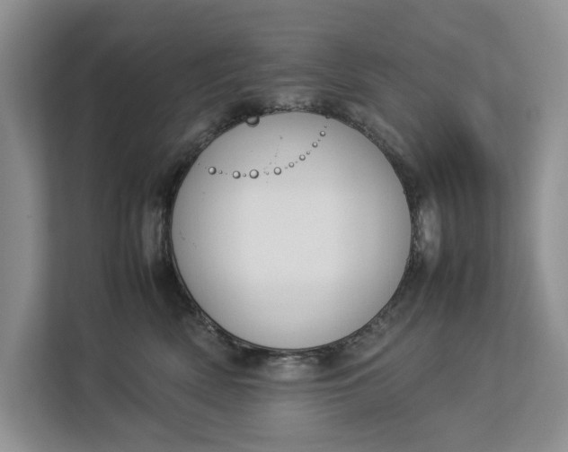 X0000112830522200909041505