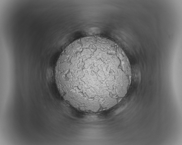 X0000112830523200909041505