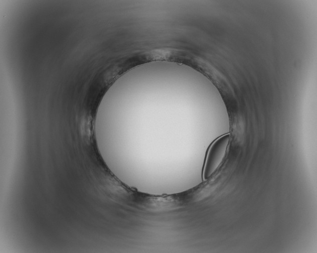 X0000112830525200909041505