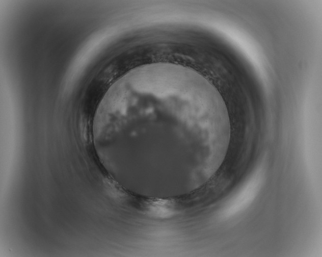 X0000112830527200909041505