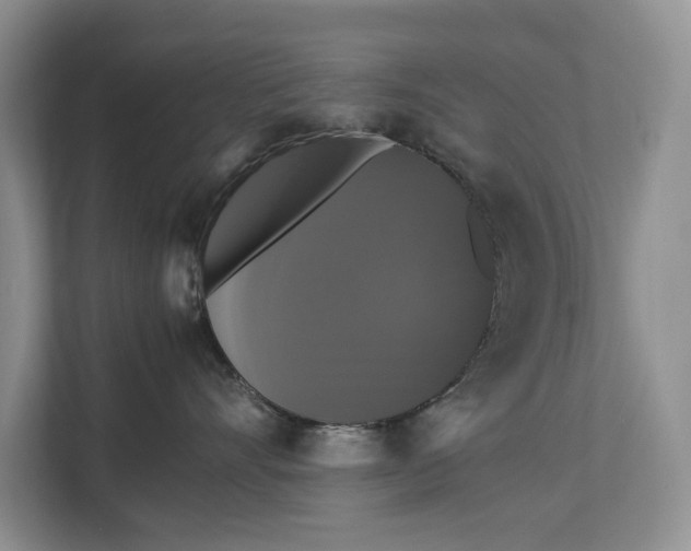 X0000112830528200909041505