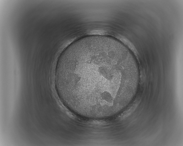 X0000112830529200909041504