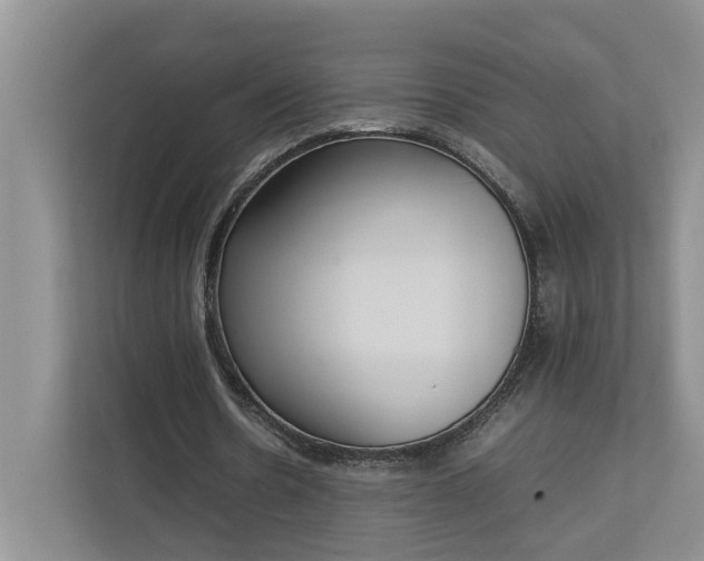 X0000112830530200909041504