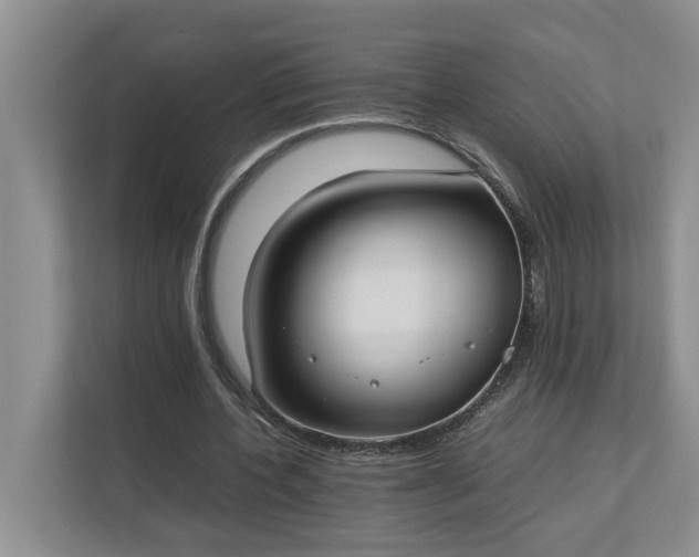 X0000112830532200909041504