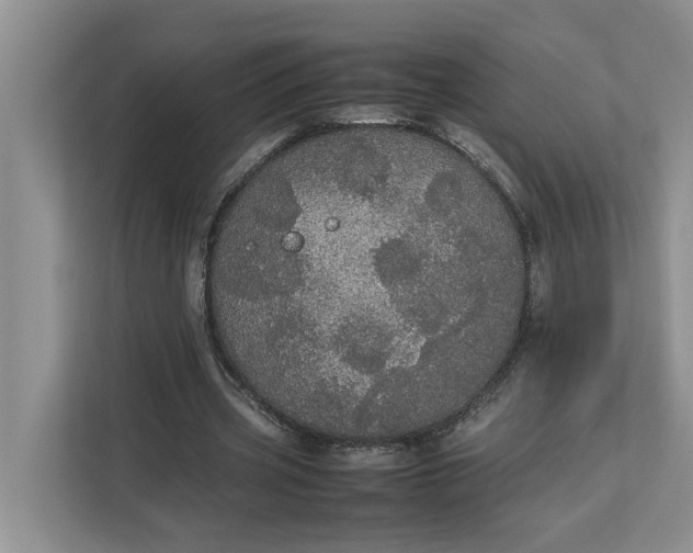 X0000112830533200909041504