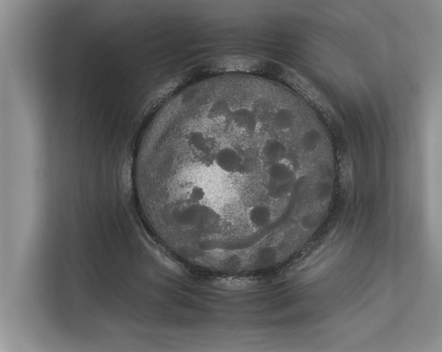 X0000112830537200909041504