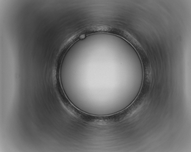 X0000112830538200909041504