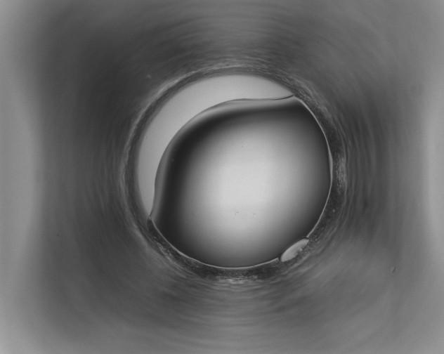 X0000112830540200909041504