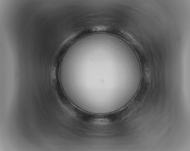 X0000112830543200909041504