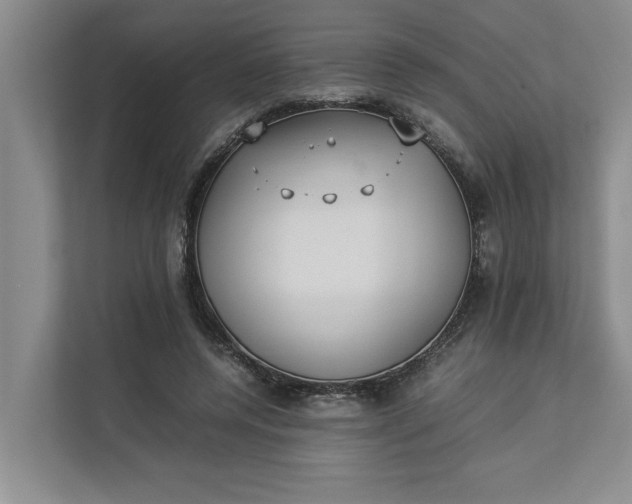 X0000112830544200909041505