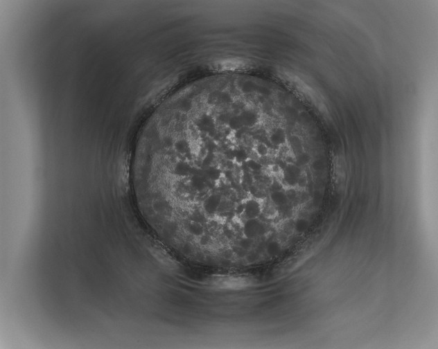 X0000112830545200909041505