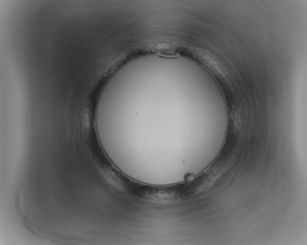 X0000112830546200909041505