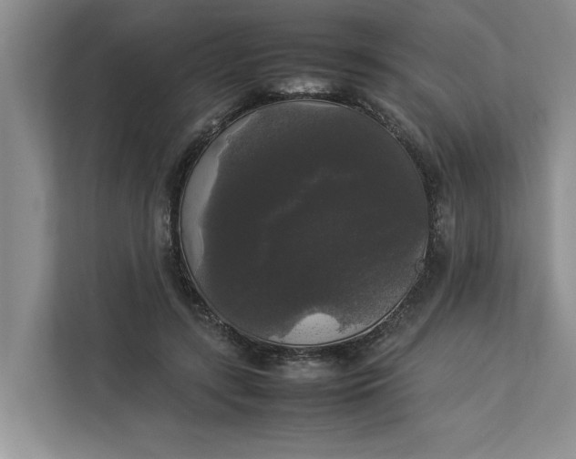 X0000112830547200909041505