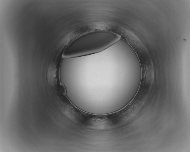 X0000112830548200909041505