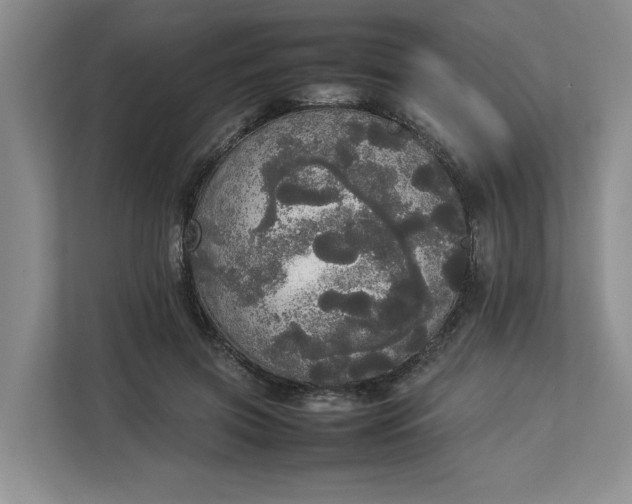 X0000112830549200909041505