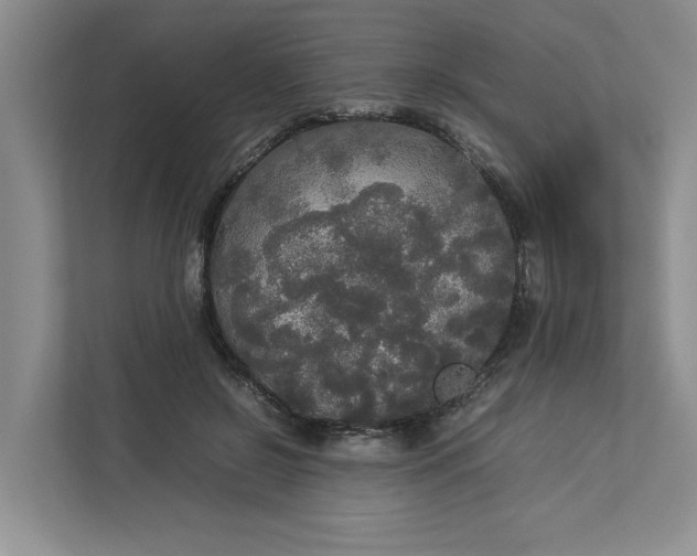 X0000112830550200909041505