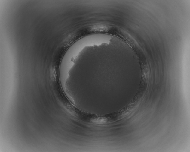 X0000112830551200909041505