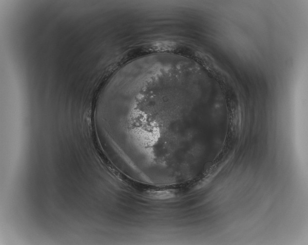 X0000112830553200909041505