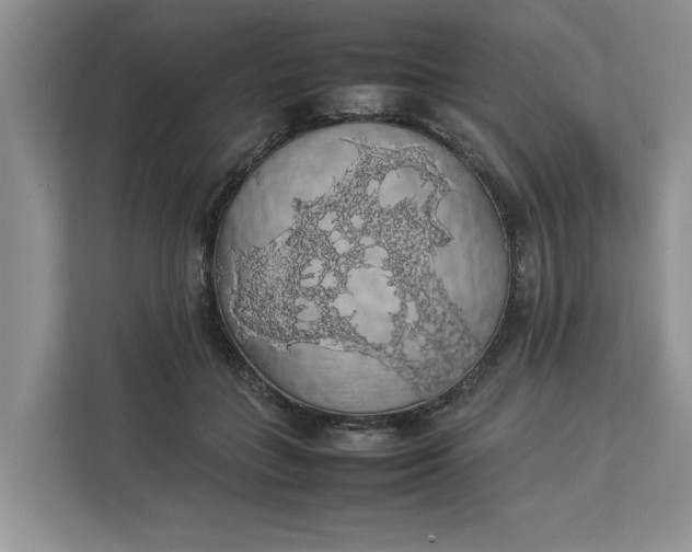 X0000112830555200909041505