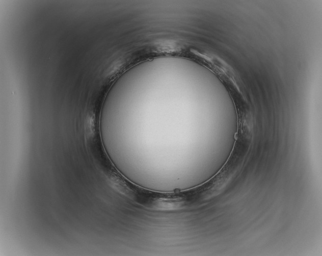 X0000112830556200909041505