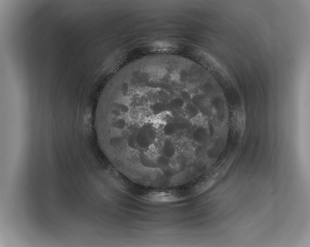 X0000112830557200909041505