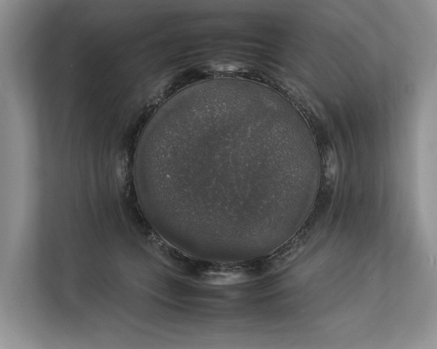 X0000112830559200909041505