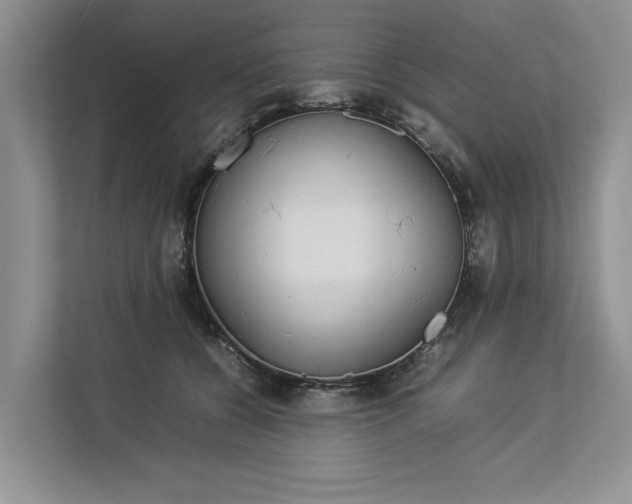 X0000112830560200909041505