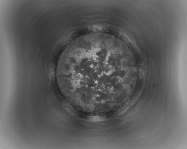 X0000112830561200909041505