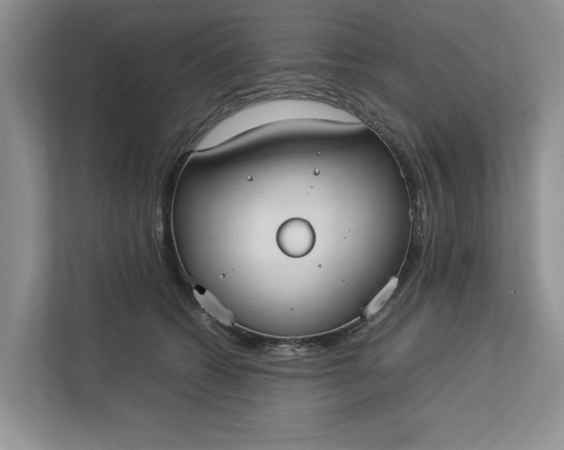 X0000112830562200909041505