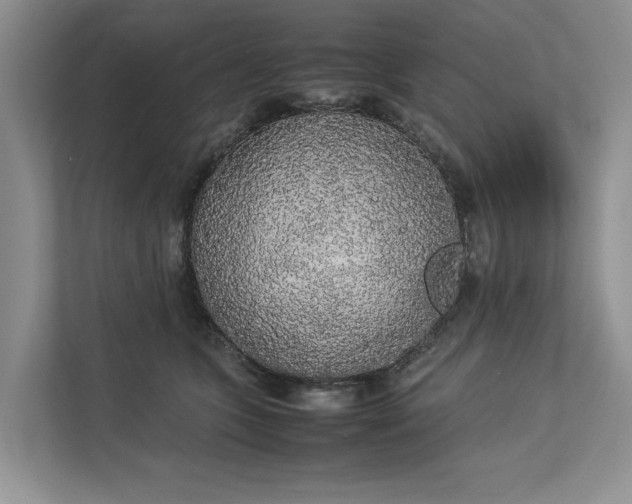 X0000112830563200909041505